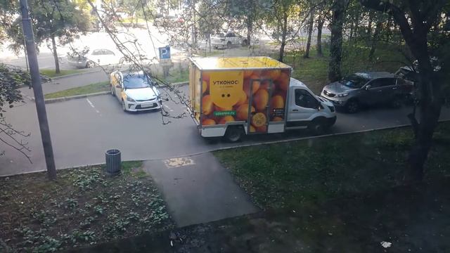 Заказ в Утконос 25 августа 2021 смотреть онлайн