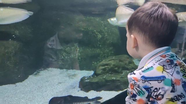 мой внучок смотреть онлайн