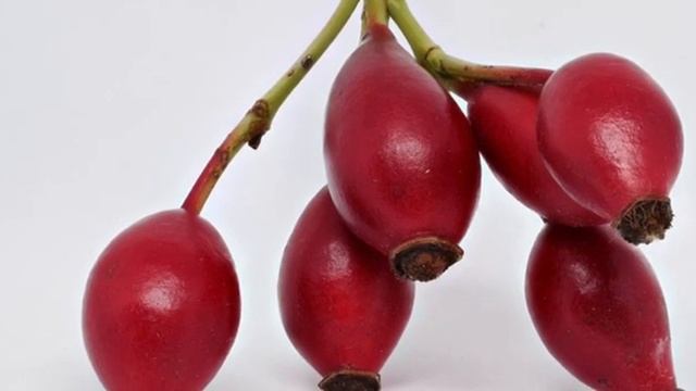 ШИПОВНИК не для всех полезен, он может НАВРЕДИТЬ, если у вас... Что творит шиповник? смотреть онлайн