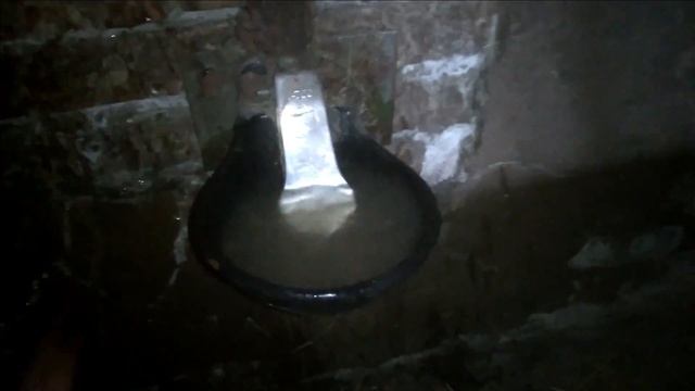 Цены на живой вес говядины, свинины. Закупочные цены на молоко))) смотреть онлайн