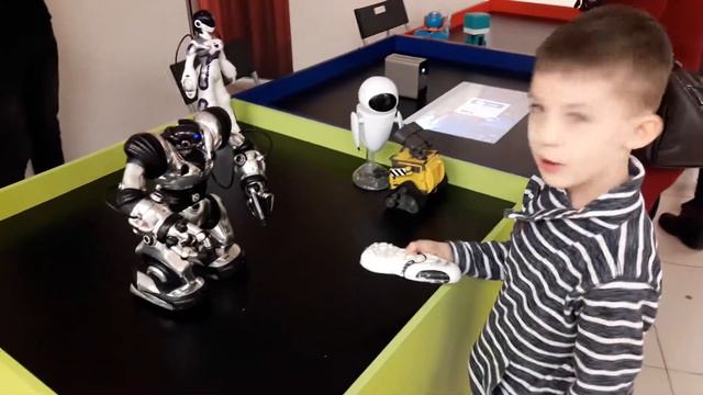 Парк роботов в Рио 4