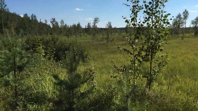 70 км на МТБ вокруг озер и карьеров. смотреть онлайн