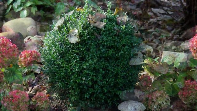 Enrique Casals 1/4 b смотреть онлайн