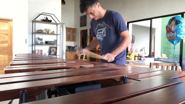 N. J. Zivkovic - Funny Marimba I смотреть онлайн