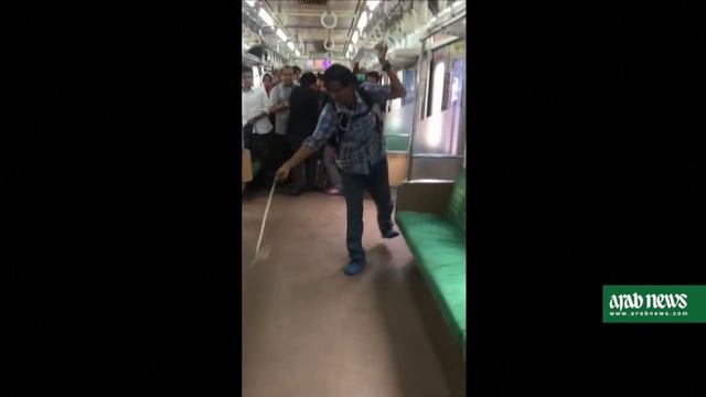 Indonesian man kills snake on train with bare hands смотреть онлайн