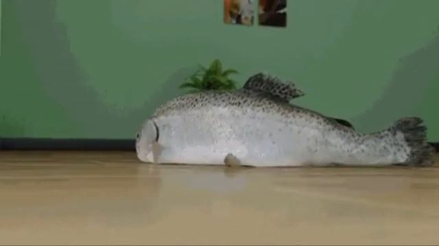 fish drift смотреть онлайн