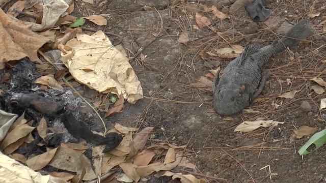 Java (part 1) Vacation Travel Video Guide смотреть онлайн