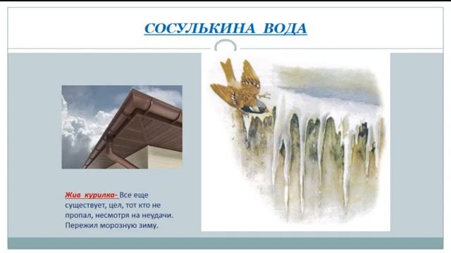 Н СЛАДКОВ МАЛЕНЬКИЕ РАССКАЗЫ смотреть онлайн