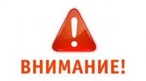 Срок годности яиц: это надо знать