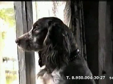 Безумный день смотреть онлайн