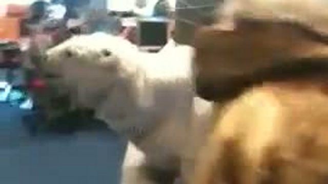 Quel casse-pied cet ours ! смотреть онлайн
