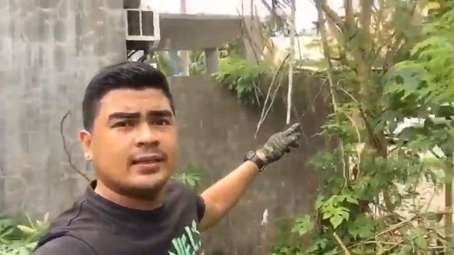 How to get rid of termites or anay problem don’t you worry its easy for me. смотреть онлайн