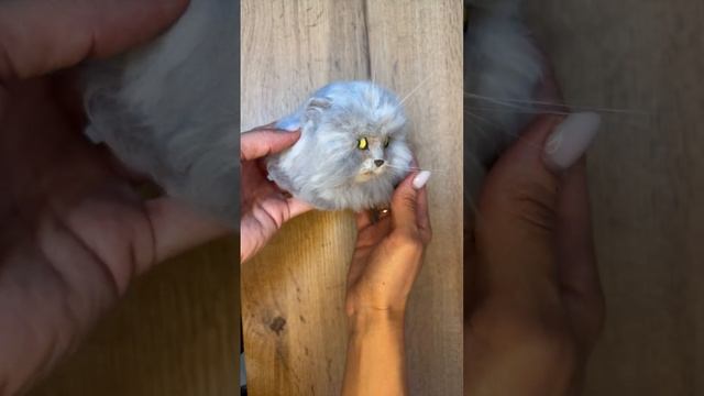 Котик из шерсти,часть 1 #валяние #кот #котики #ручнаяработаназаказ #cat #игрушка смотреть онлайн