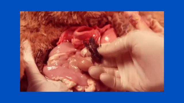 The Darkest YouTube Iceberg смотреть онлайн