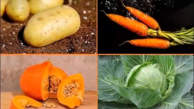 Секреты Творческой Силы