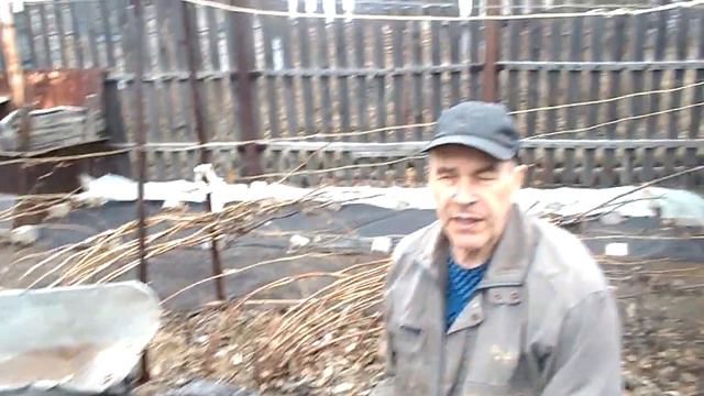 ОТКРЫВАЕМ ВИНОГРАД смотреть онлайн