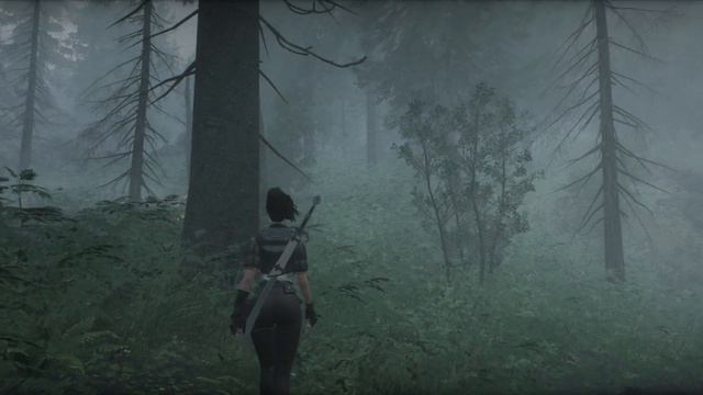 [4K] Skyrim SE 2023 Ultra modded with Ebony ENB смотреть онлайн