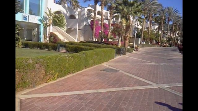 Grand Rotana Декабрь 2016 смотреть онлайн