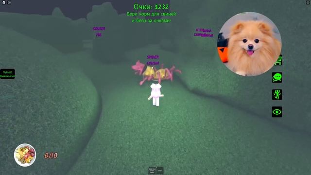 НАШЛА САМУЮ ГОЛОДНУЮ ПЕППУ В РОБЛОКС ! ОНИ ХОТЯТ МЕНЯ СЪЕСТЬ PEPPA PIG В ROBLOX смотреть онлайн