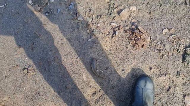 рыбалка в КБР # Trout fishing ? весна #форель смотреть онлайн