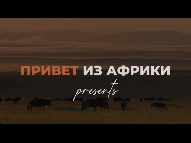 За кулисами радости: Скрытая сторона «Привет из Африки» смотреть онлайн