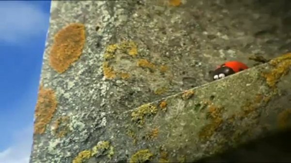 Букашки божья коровка дразнит мух