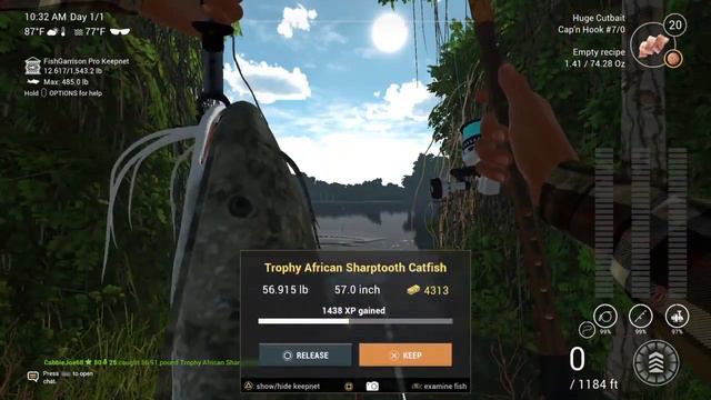 Trophy African Sharptooth Catfish Congo River Fishing Planet PS4 смотреть онлайн