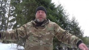 Сроки и время заготовки бересты