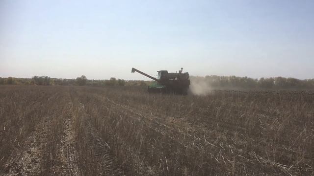 Нива Ск 5 М1 на уборке подсолнечника 2020 смотреть онлайн