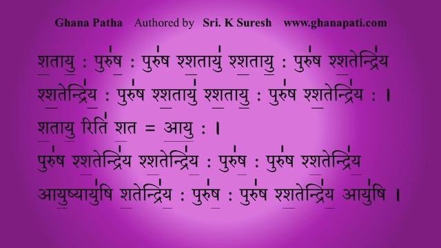 Shatamanam Bhavati | Ghana Patha | Blessing Mantra | Script | Sri K.Suresh | Krishna Yajur Veda смотреть онлайн