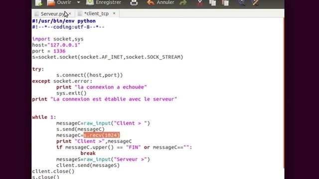 Leçon3 [Python: le reseau] : client TCP смотреть онлайн