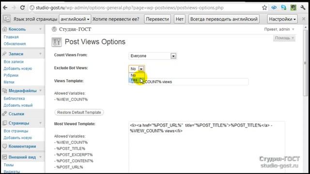 Количество просмотров постана wordpress смотреть онлайн