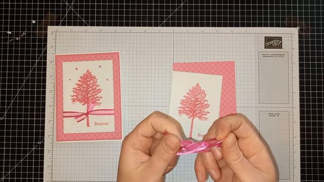 Vidéo cartes in-color stampin'up смотреть онлайн
