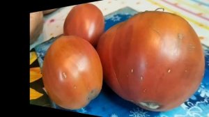 Вкусный сорт -  Бычье сердце черное .