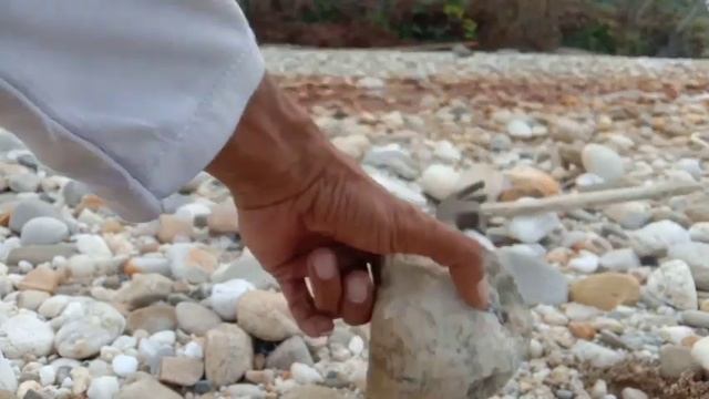 Jangan Lewatkan Proses Penemuan Batu Akik Yang Seru Ini. Treasure Hunter