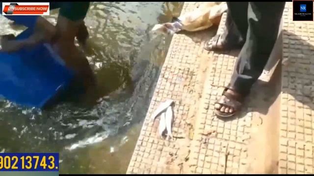 3+ Bigha / 65 kottah, Bagan Bari Land @ Rs. 1.69 CR, কলকাতায় রোডসাইড জমি. 2.3 KM Extended Bypass. смотреть онлайн