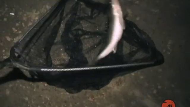 Ловля судака на джиг ночью смотреть онлайн