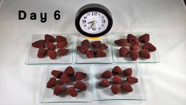 SPIRALIS Long Life Cultifort - Raspberry postharvest - English смотреть онлайн