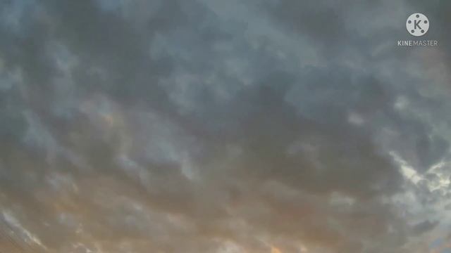 ШИНДР МЫНДР// ПРАВДИВОЕ МНЕНИЕ 2 #обсудим #обзор #мнение #сплетники смотреть онлайн