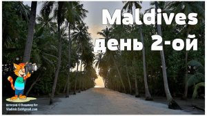 Мальдивы, день 2-ой  |  Maldives, 2nd day