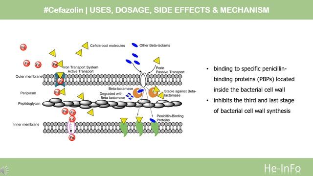#Cefazolin | Uses, Dosage, Side Effects & Mechanism | Ancef смотреть онлайн