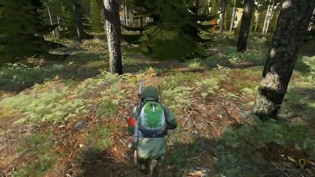 DayZ Standalone .61 - PvP Action Part1 смотреть онлайн