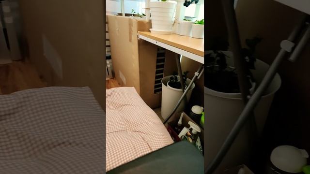 추워도 베란다 나오고 싶은 나는 무릎 시리지 말라고 빡스를 잘 보관하다 창을 막았다 смотреть онлайн