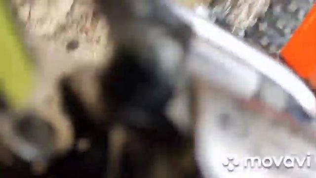 ХЭЛ смотреть онлайн