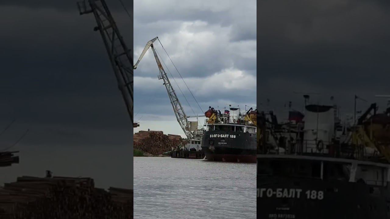 погрузка леса смотреть онлайн