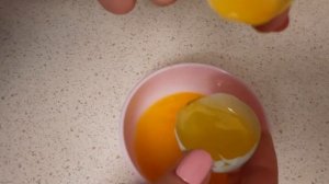 кровяное кольцо при инкубации куриных яиц.