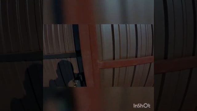 Откатные ворота после зимовки смотреть онлайн