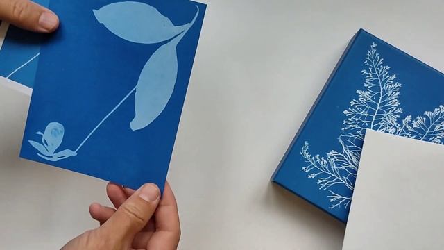 Набор открыток Sunprint Notecards: The Cyanotypes of Anna Atkins / Sunprint: Цианотипы Анны Аткинс смотреть онлайн