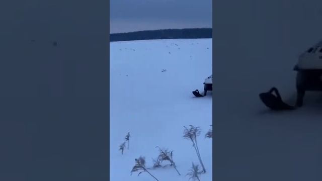 Тайга Варяг 550 по глубокому снегу смотреть онлайн