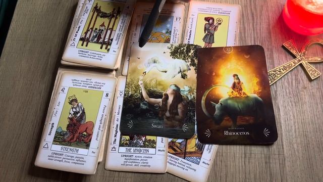 The Middle Path- #dailytea #collective #tarot #asmr #tarotreading #dailytarot смотреть онлайн